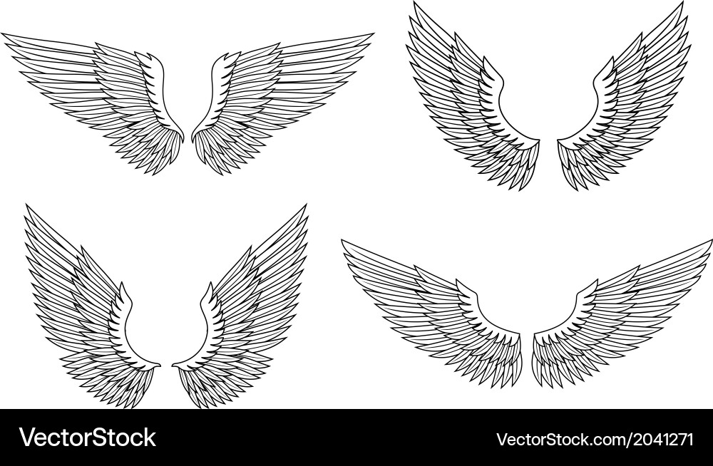 Set of wings Royalty Free Vector Image - VectorStock