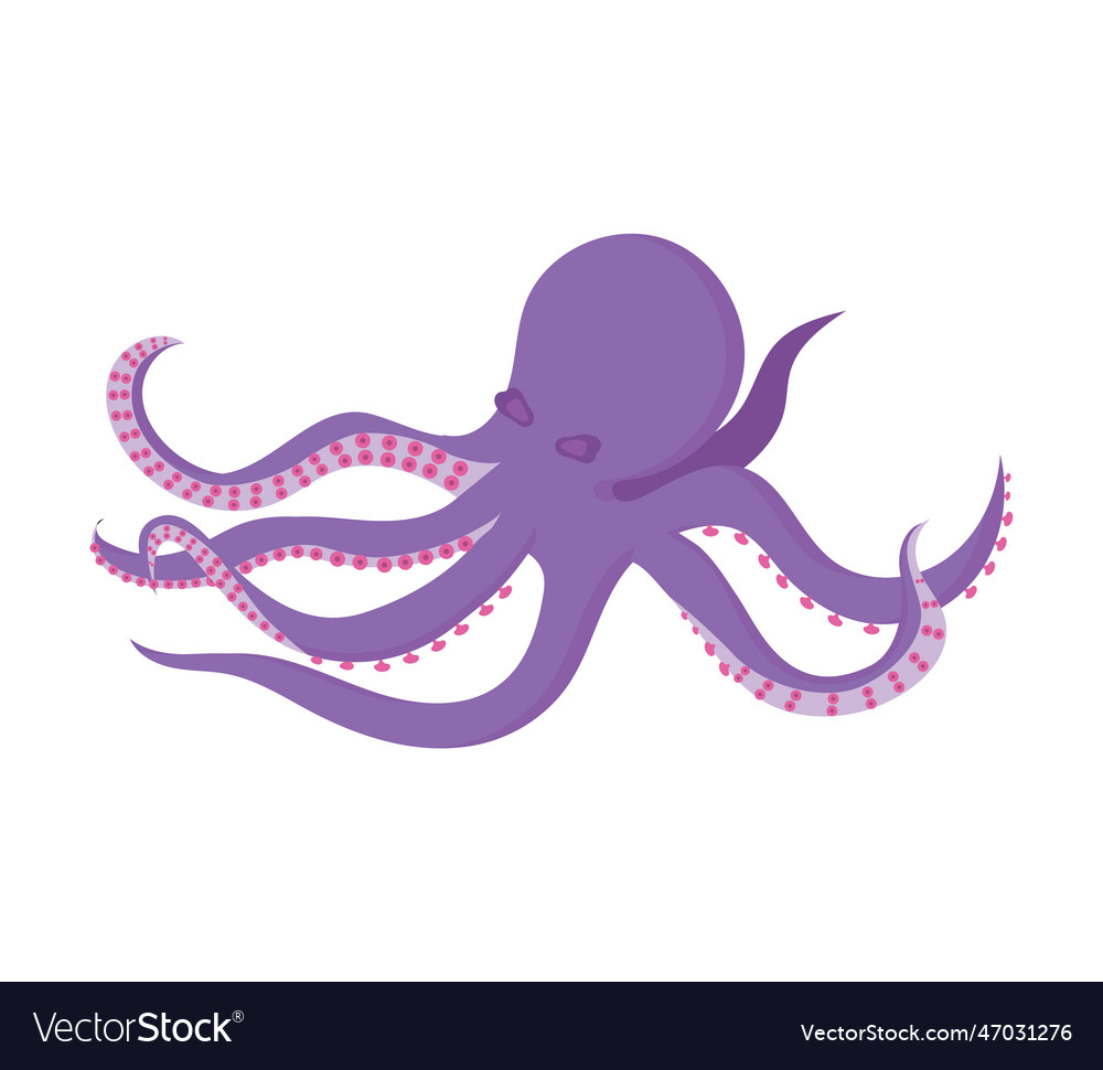 Cartoon purple octopus isolated Royalty Free Vector Image