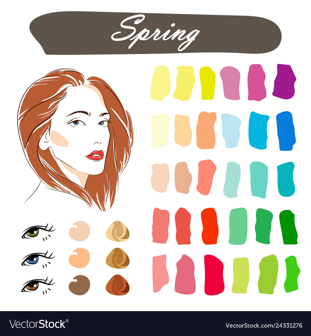 Seasonal color analysis palette for spring Vector Image