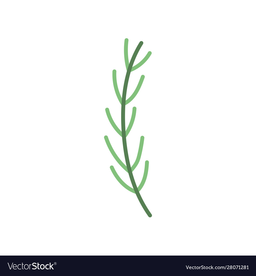 Green branch botanic nature foliage icon Vector Image