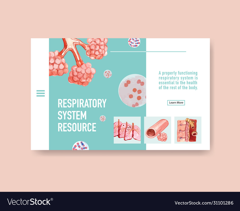 Respiratory system design for website template Vector Image