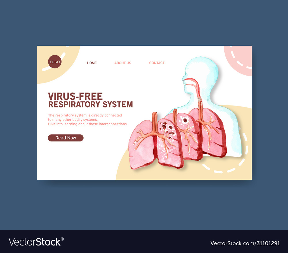 Respiratory system design for website template Vector Image