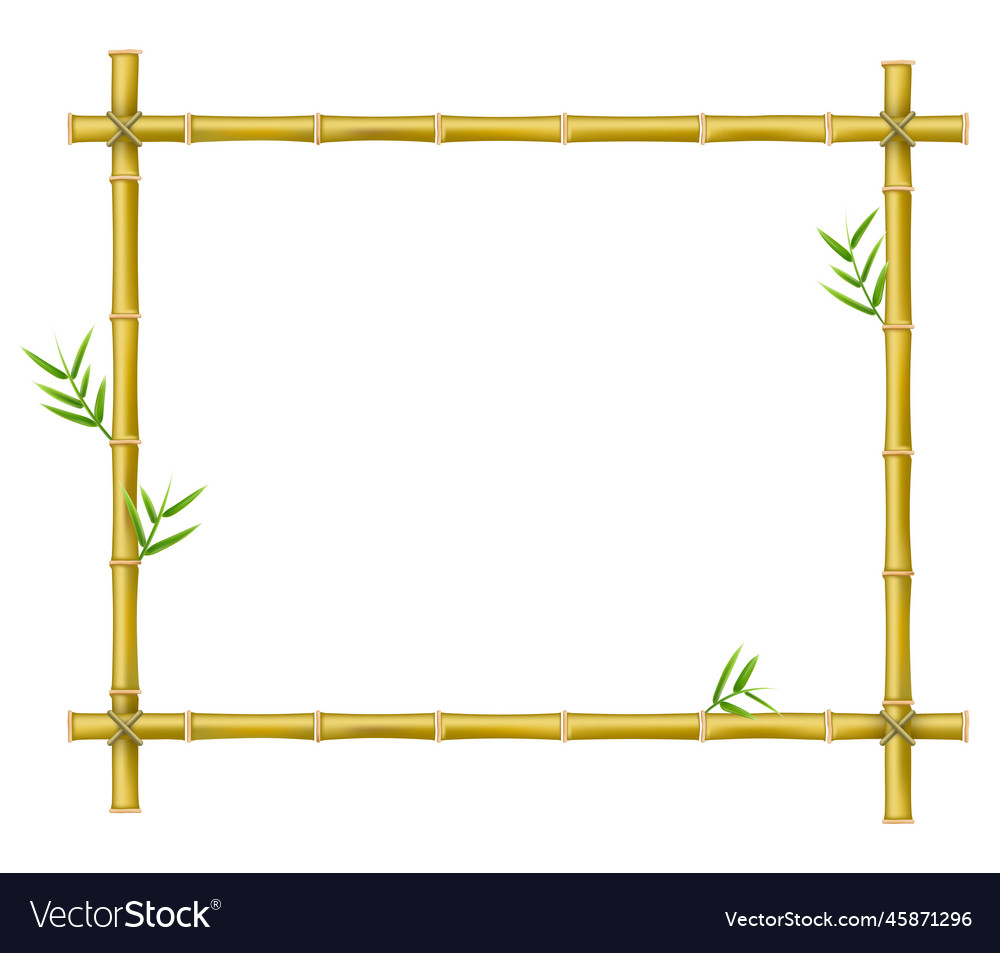 Bamboo frame wooden sticks and leaves rectangle Vector Image