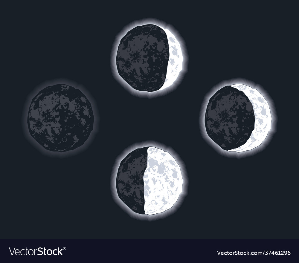 Four Moon Phases Set Royalty Free Vector Image