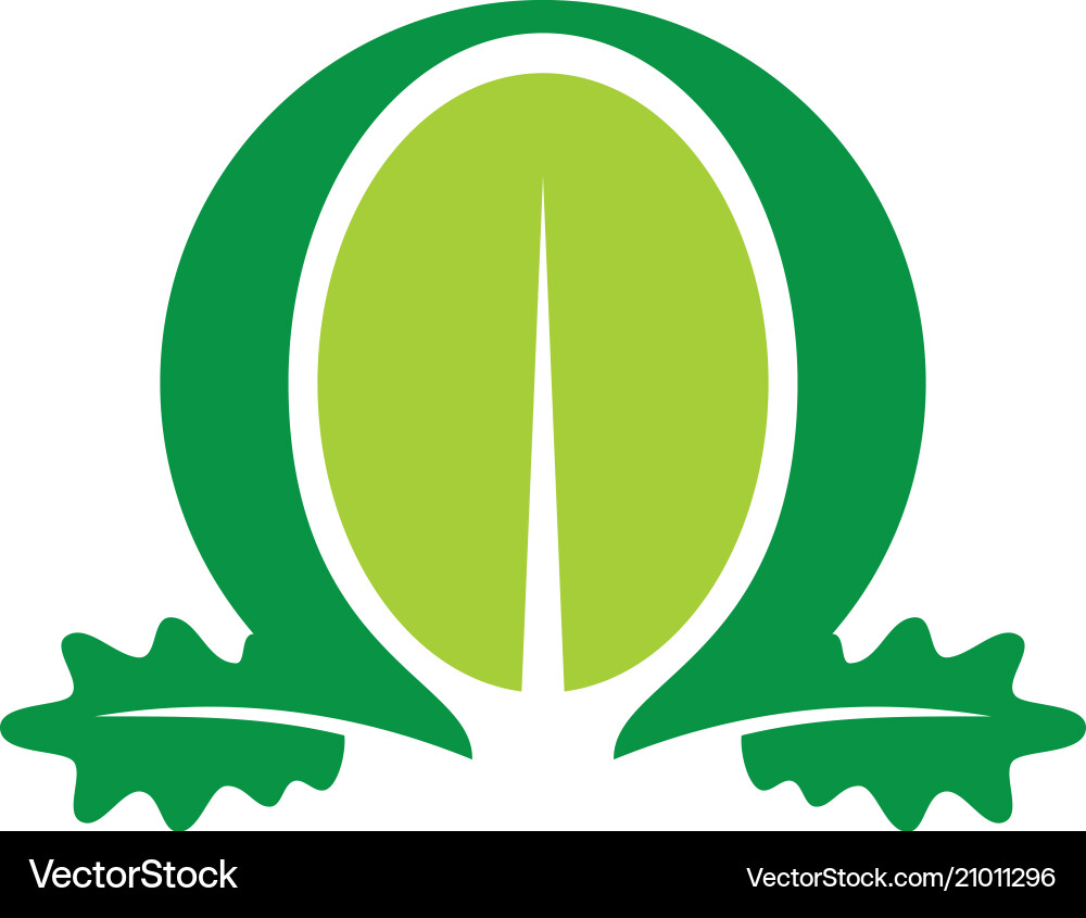 Leaf organic logo Royalty Free Vector Image - VectorStock