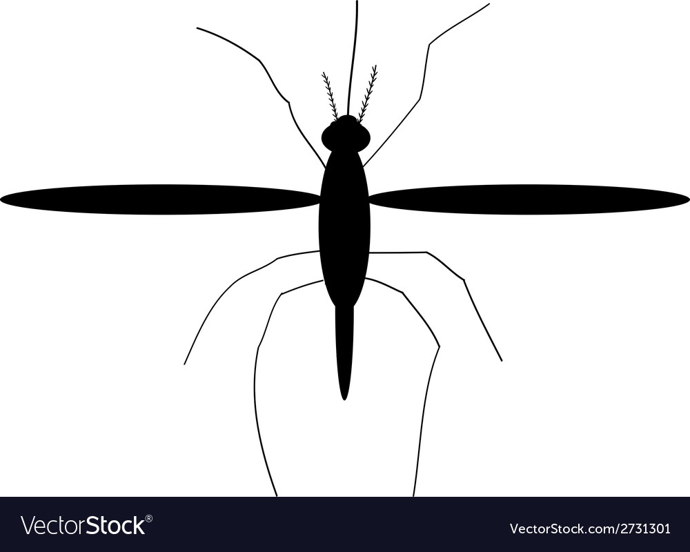 Mosquito icon