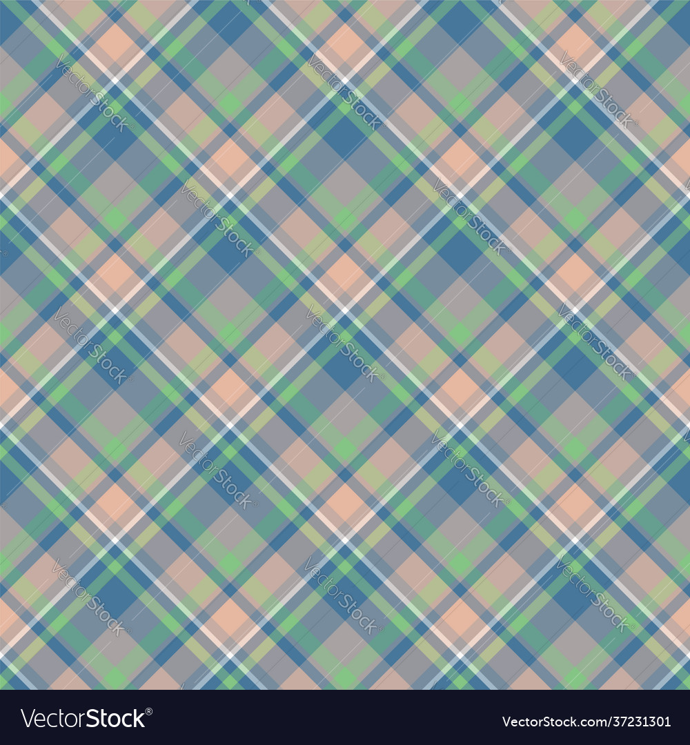 Plaid seamless pattern background textile Vector Image