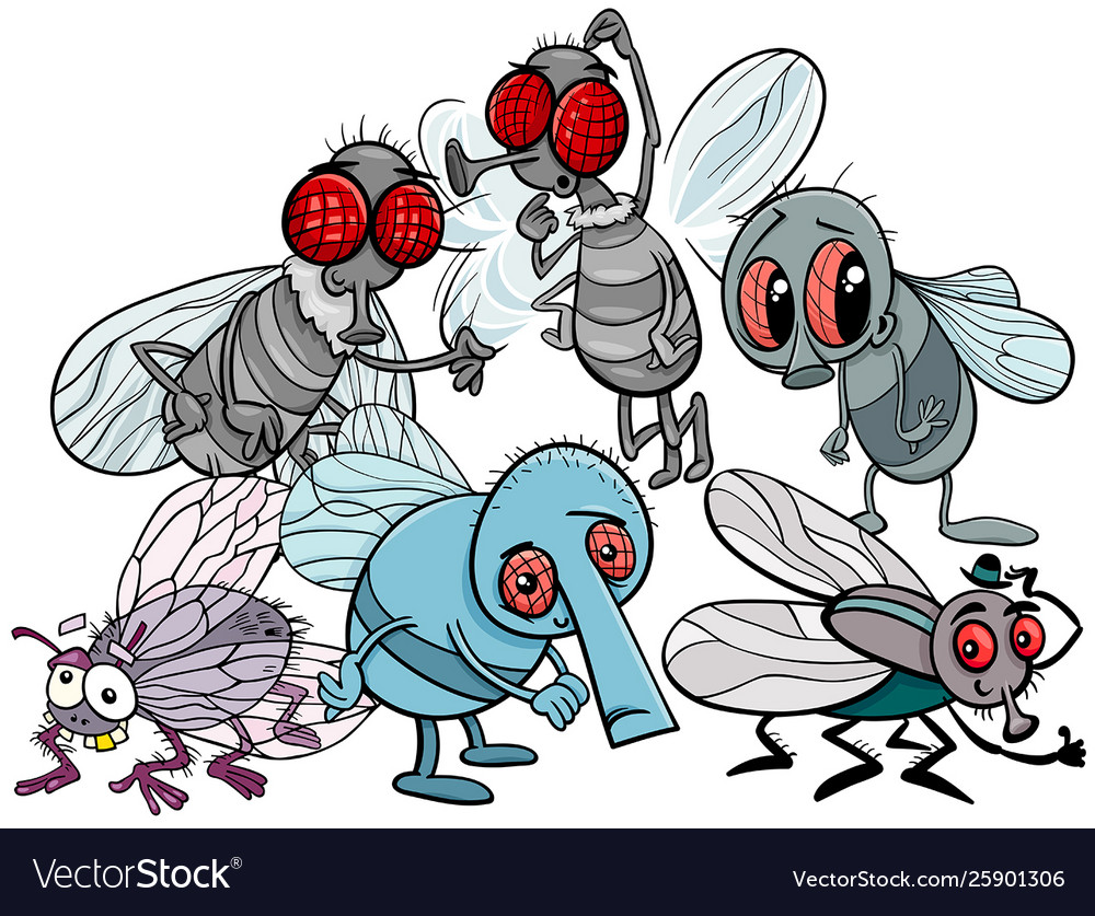 Flies characters group cartoon Royalty Free Vector Image