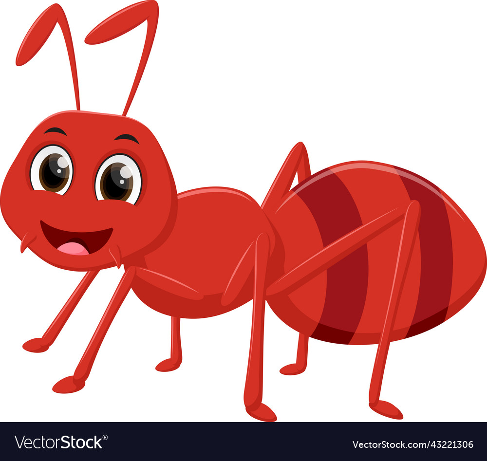 Happy ant cartoon isolated on white background Vector Image