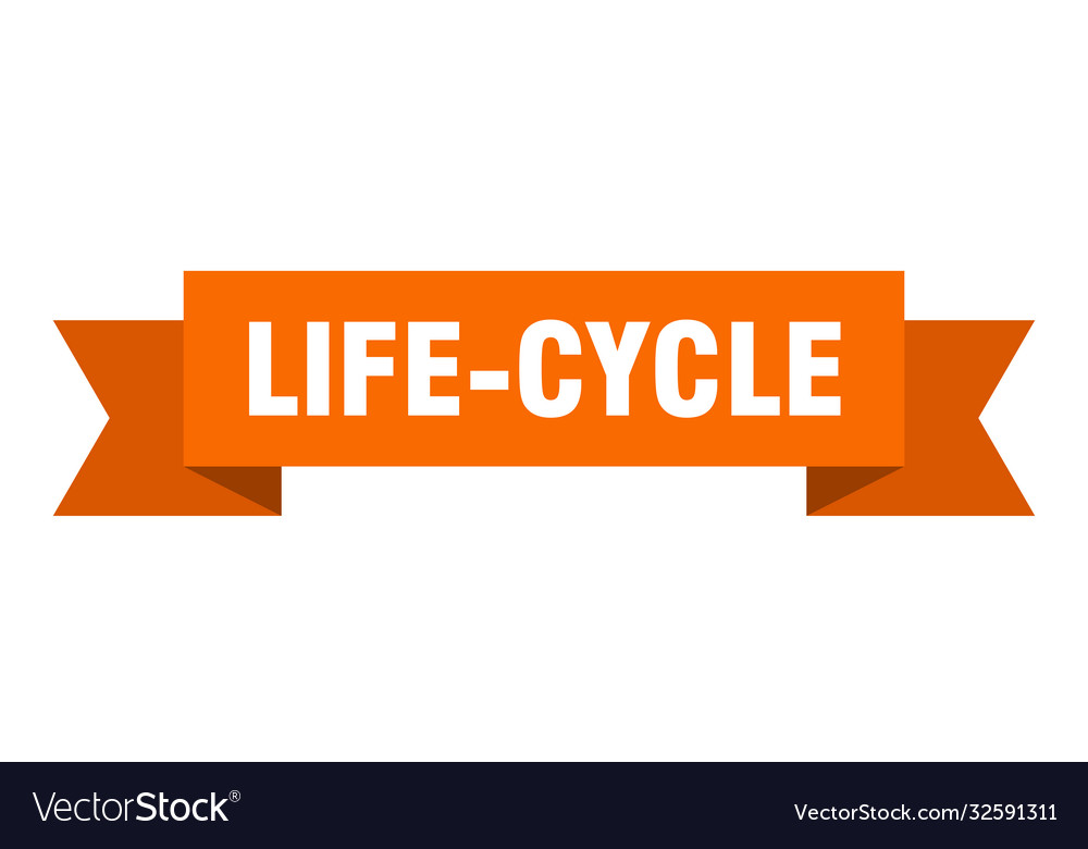 Life-cycle ribbon paper band banner Royalty Free Vector