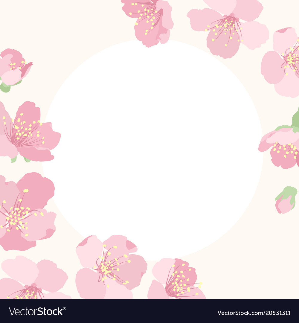 Pink Cherry Blossom Border - photos and vectors