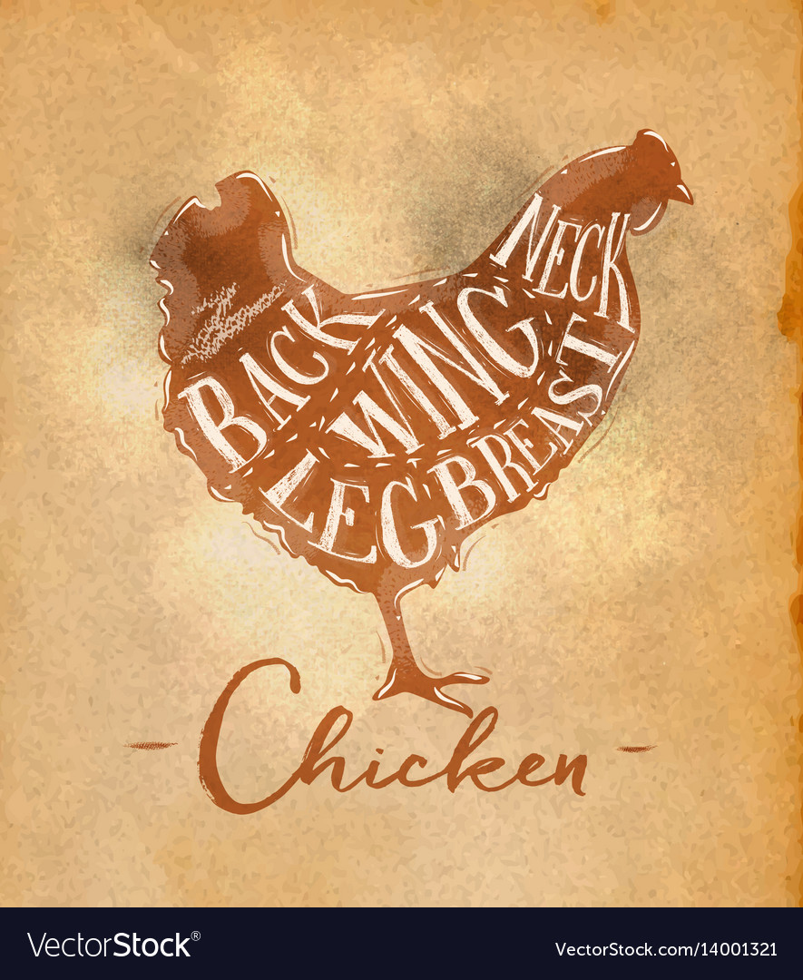 Chicken cutting scheme craft Royalty Free Vector Image