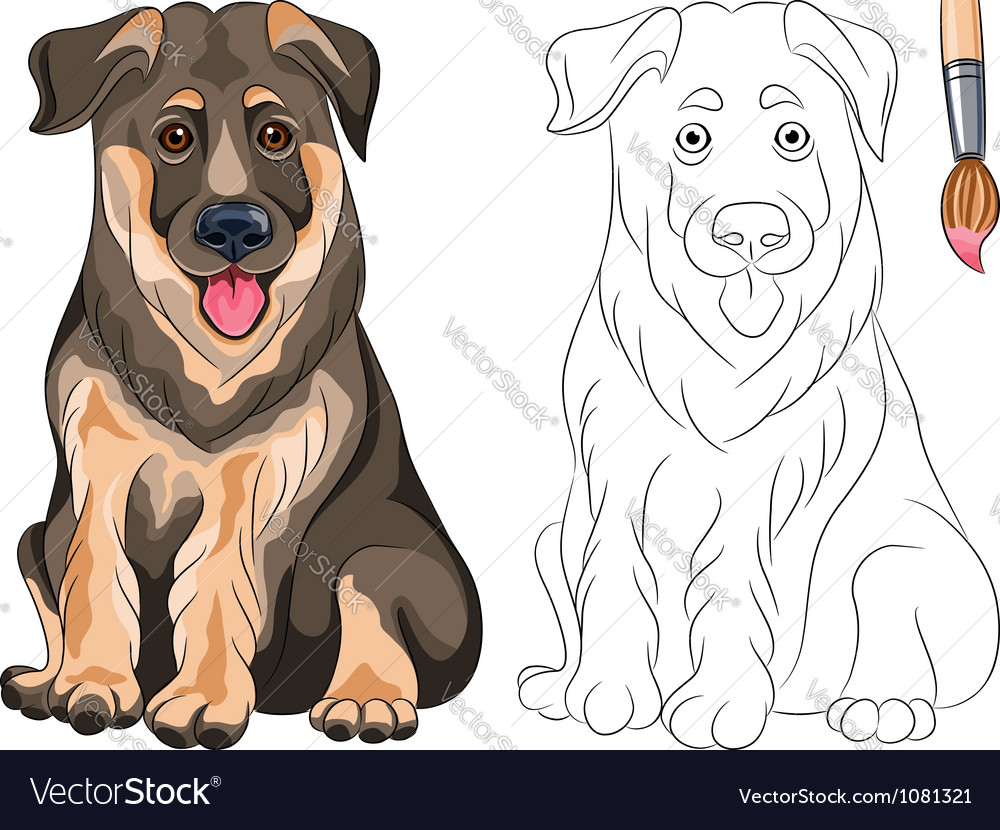 Coloring book smiling puppy shepherd Royalty Free Vector