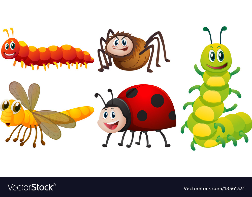 different-types-of-bugs-on-white-background-vector-image