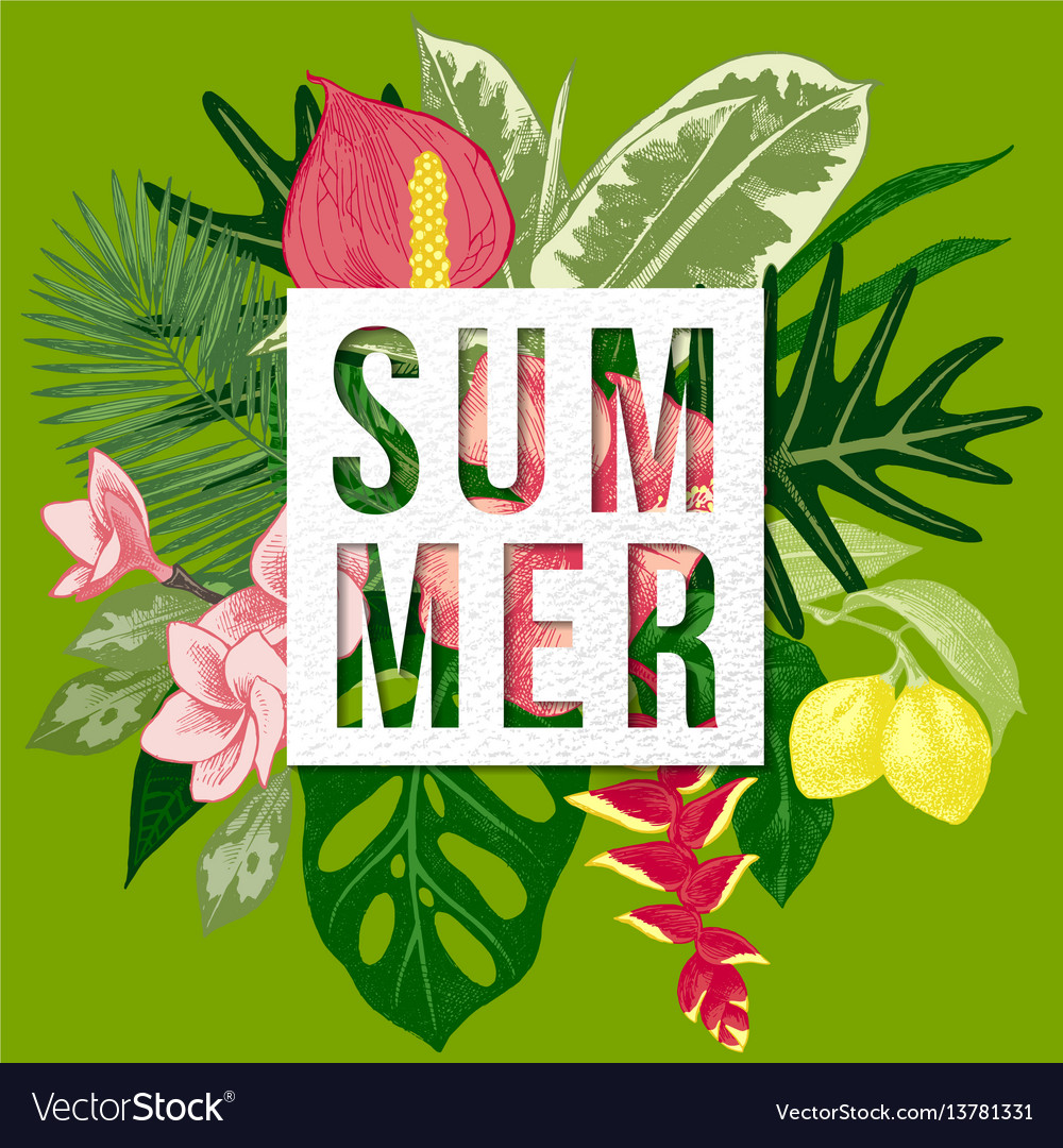 Summer Background With Tropical Plants And Flowers