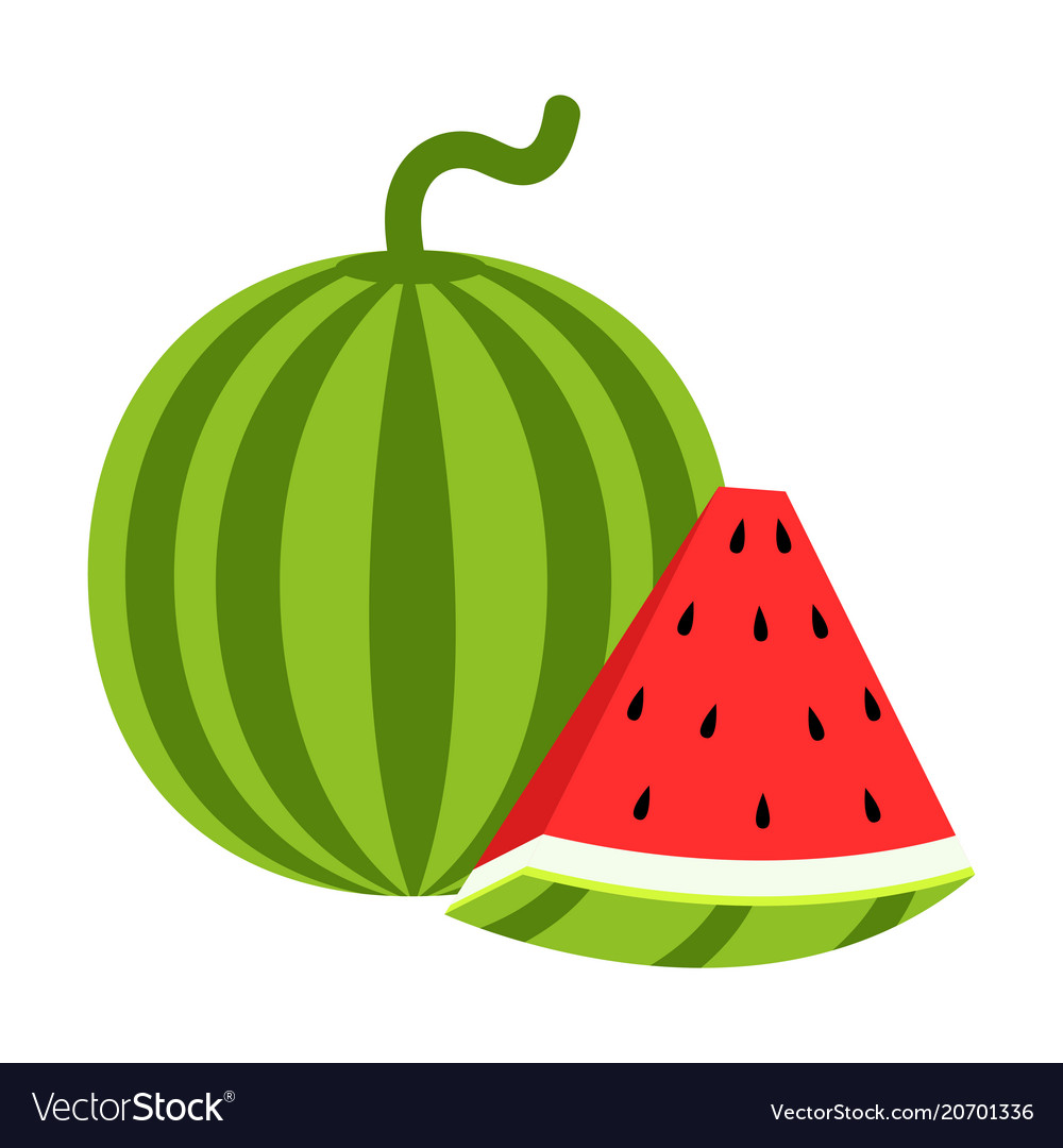 Isolated cut watermelon fruit Royalty Free Vector Image