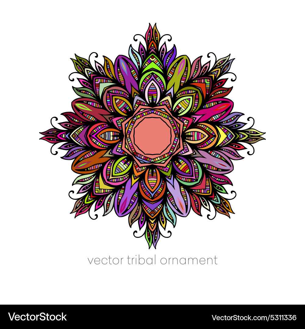 Mandala ethnic decorative elements Royalty Free Vector Image