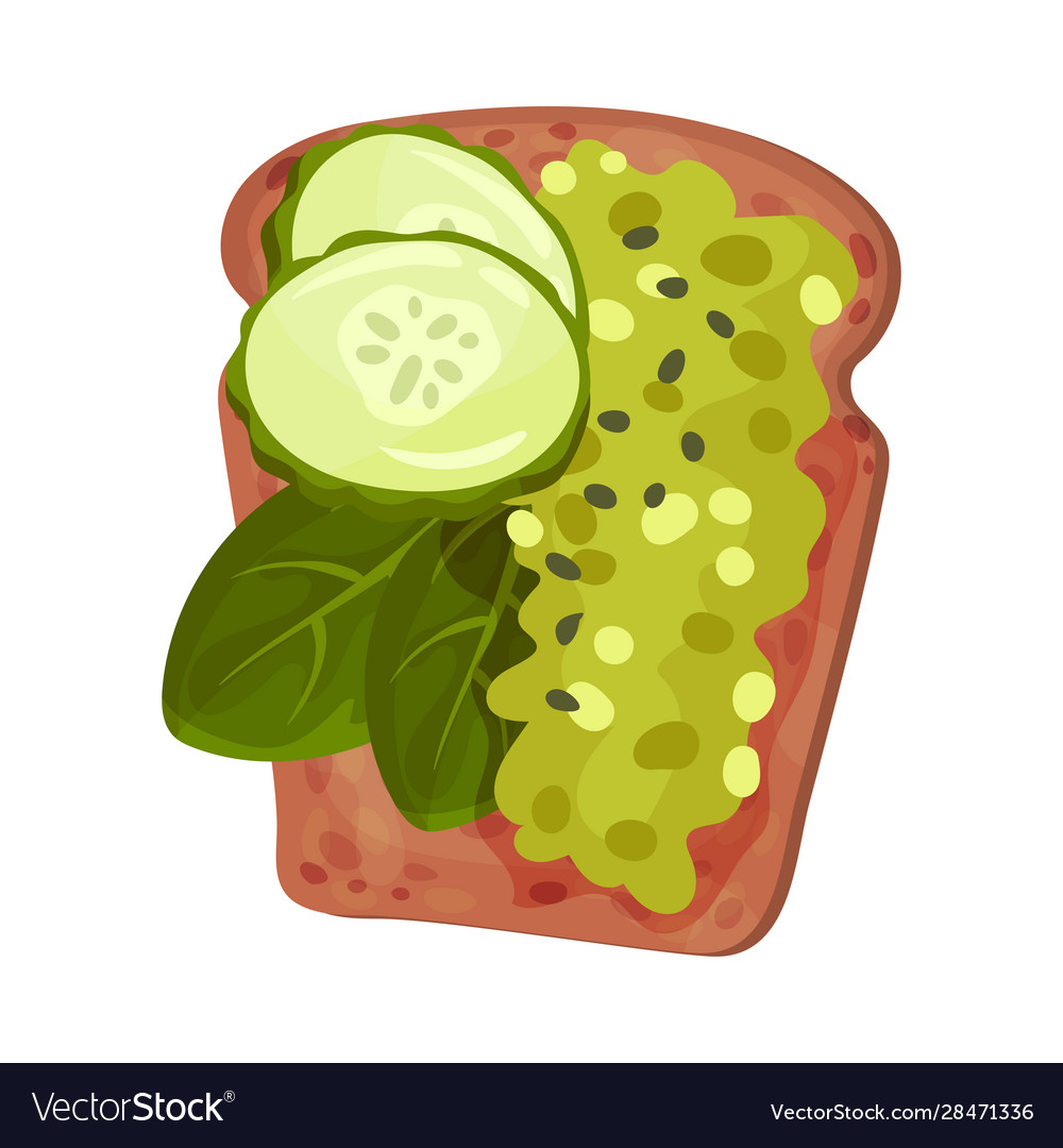 Roasted multigrain bread with avocado paste Vector Image