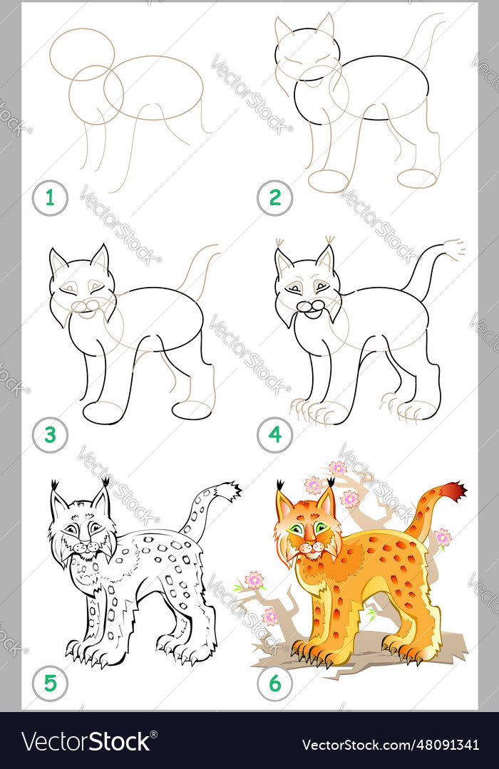 Page shows how to learn step by step to draw a Vector Image