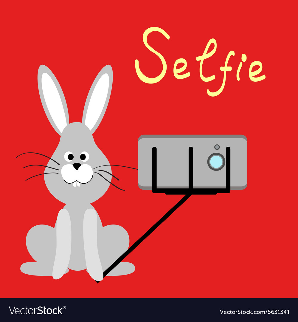 Pets selfie funny animals on a colored background