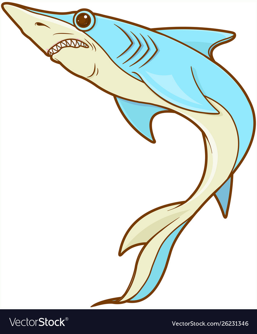 Blue shark Royalty Free Vector Image - VectorStock