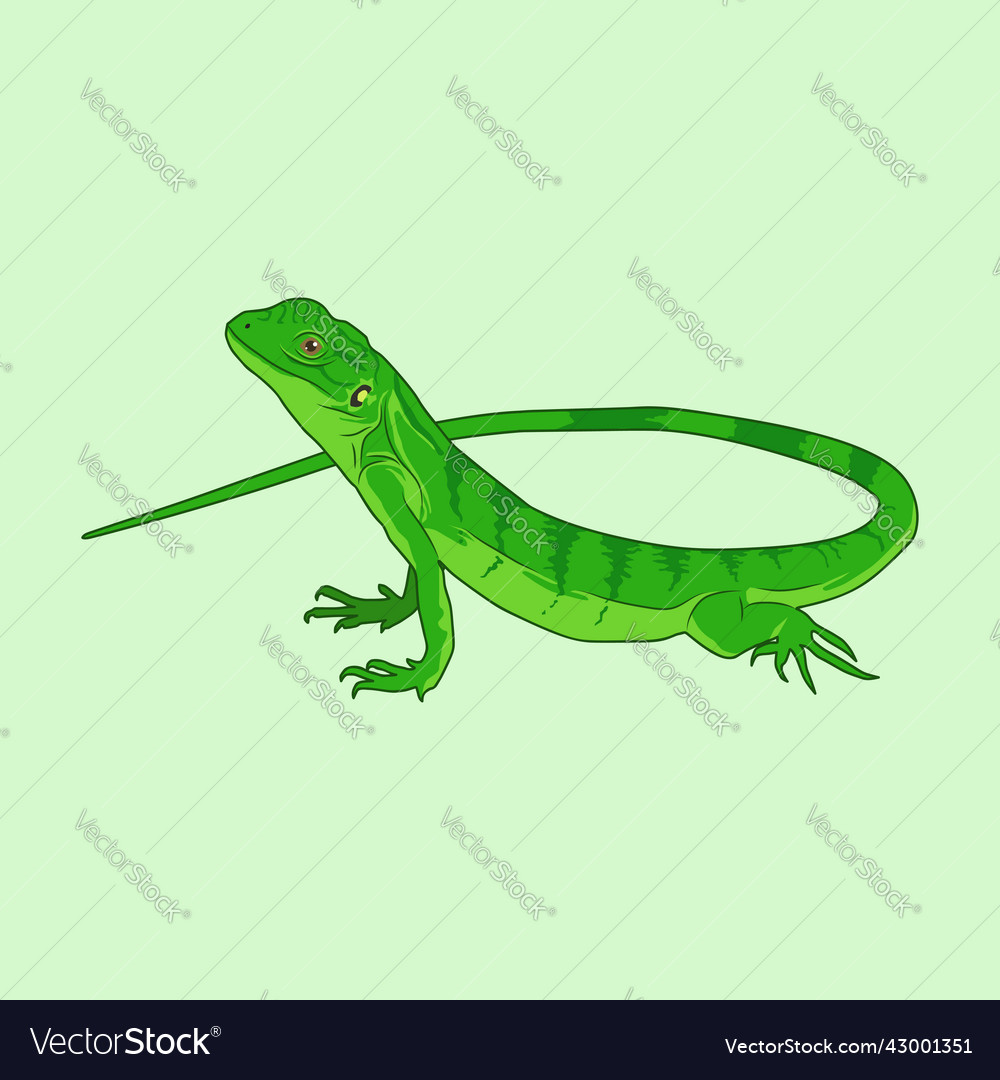 Green lizard Royalty Free Vector Image - VectorStock