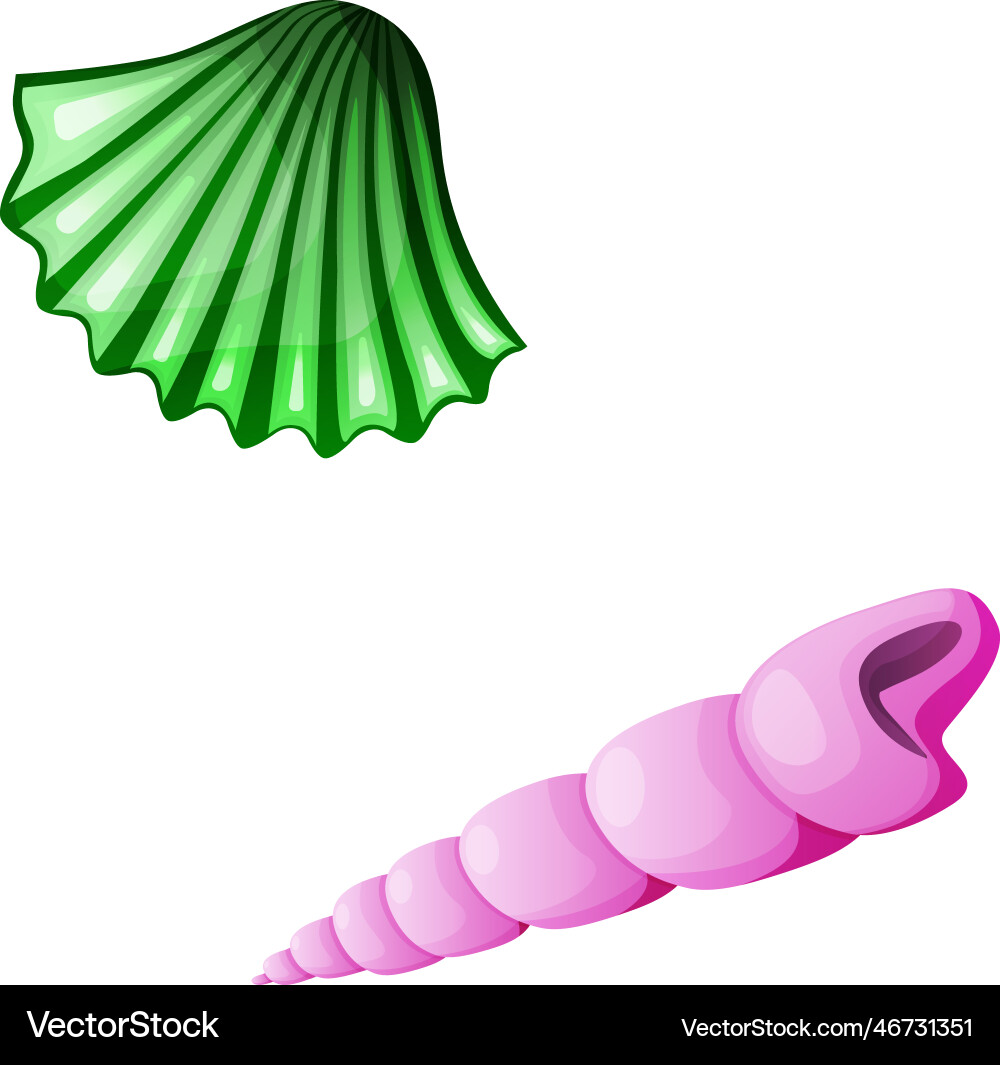 Seashells isolated on white background Royalty Free Vector