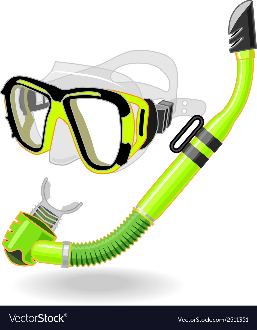 Snorkel Royalty Free Vector Image VectorStock