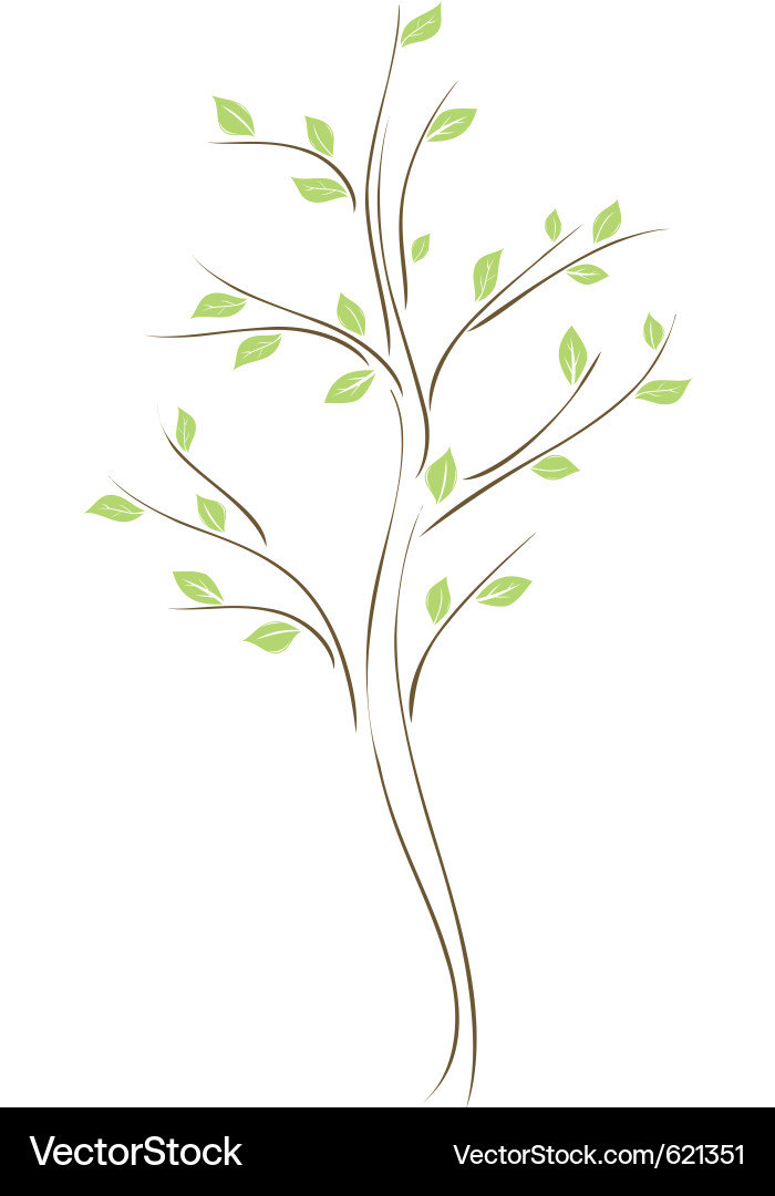Tree with leaves Royalty Free Vector Image - VectorStock