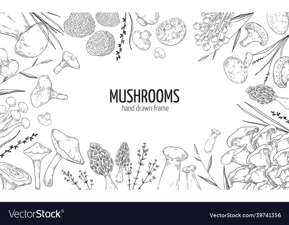 Mushroom frame hand drawn engraving borders Vector Image