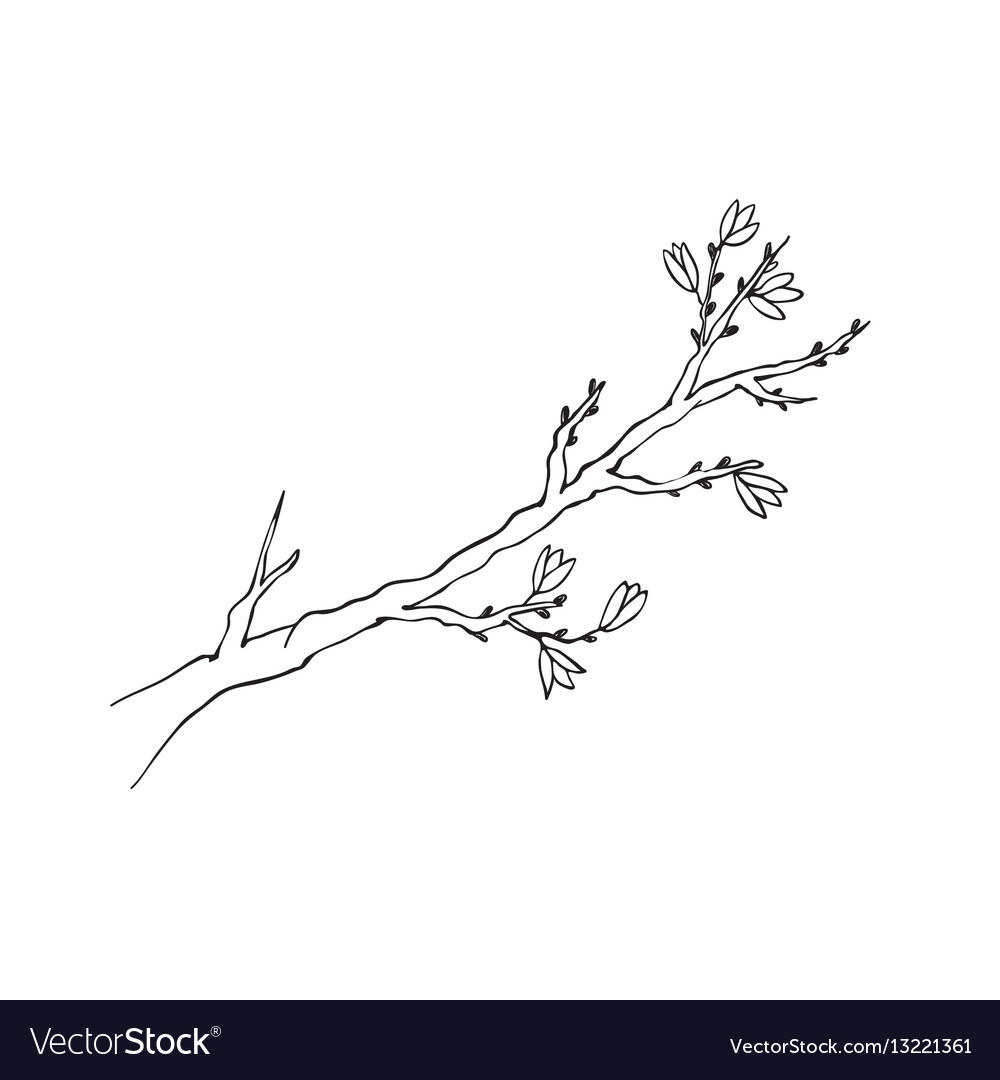 Branch symbol isolated Royalty Free Vector Image