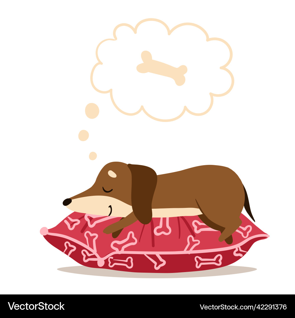 Dachshund sleeps on a red pillow and dreams Vector Image