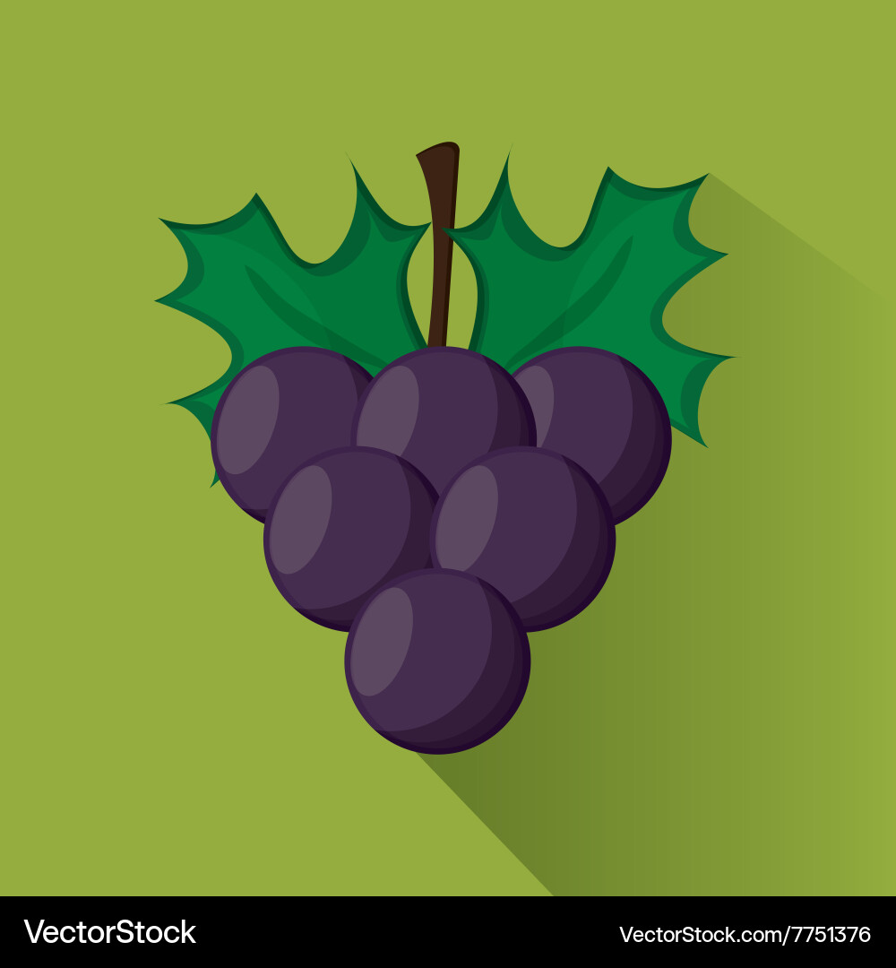 Fruit icon design Royalty Free Vector Image - VectorStock