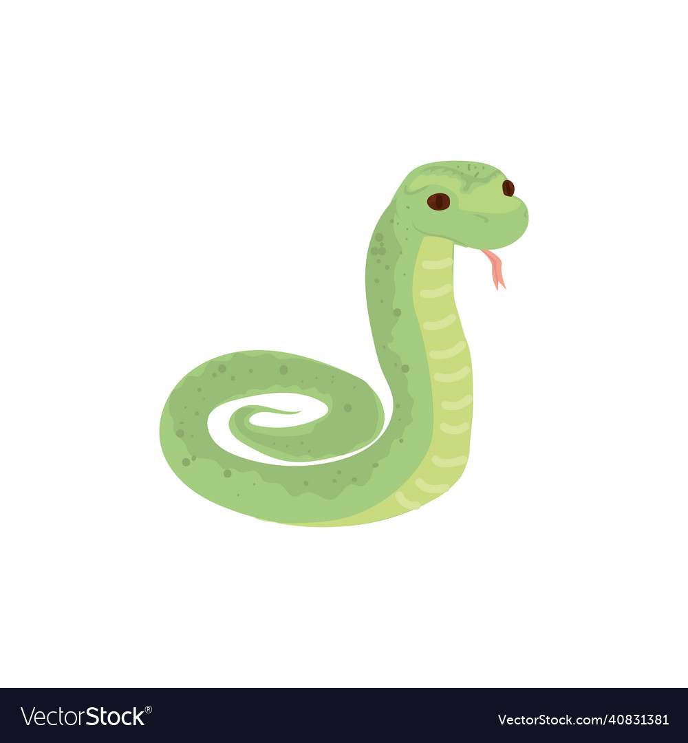 Green snake design Royalty Free Vector Image - VectorStock