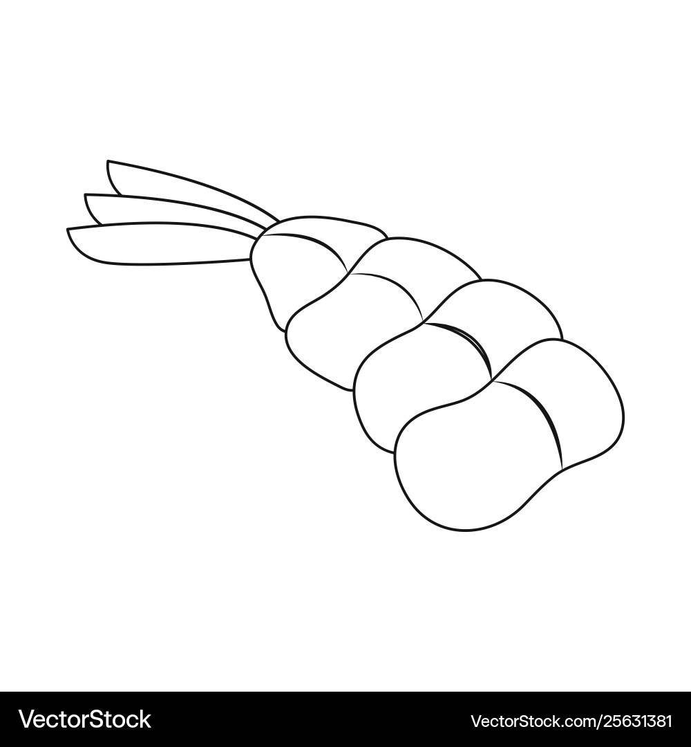 Isolated object prawn and creature symbol Vector Image