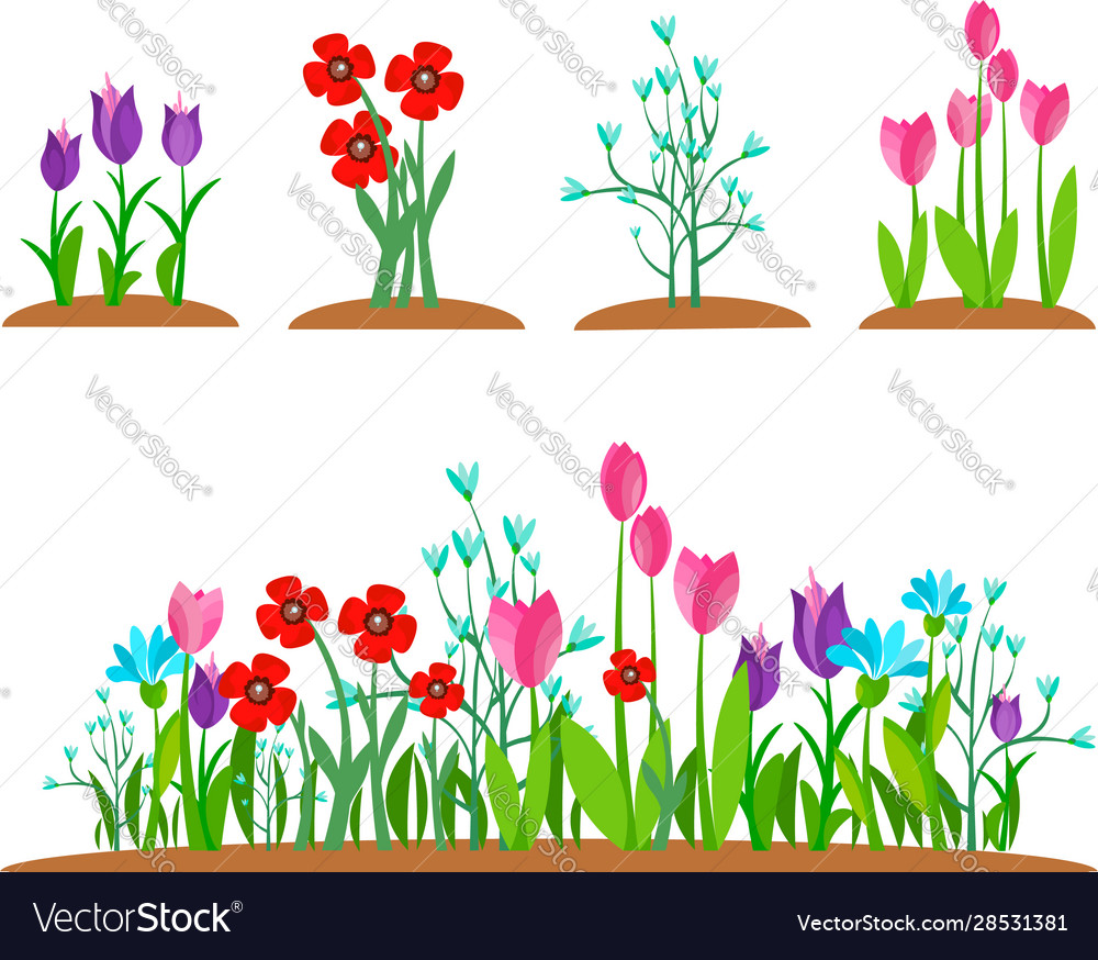 Summer and spring blossom forest garden Royalty Free Vector