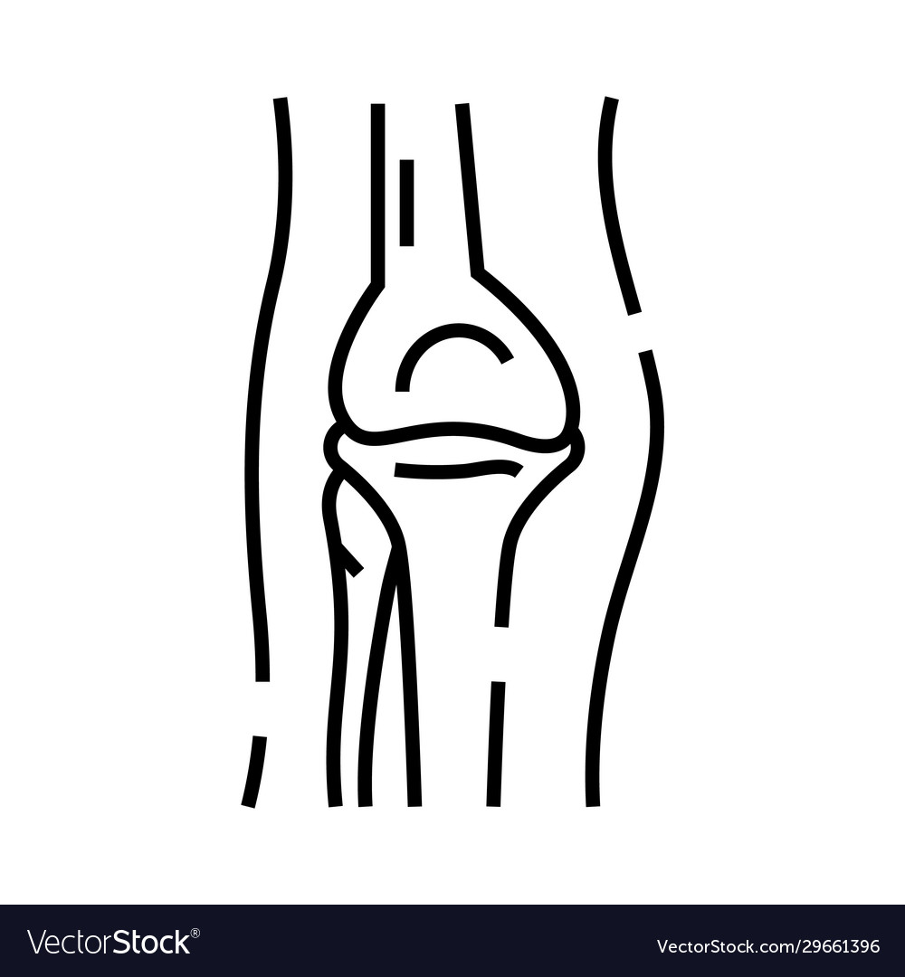 Diarthroses inner structure line icon concept Vector Image