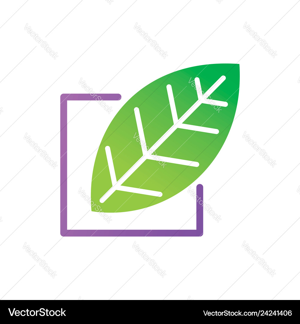 Leaf logo design template set Royalty Free Vector Image