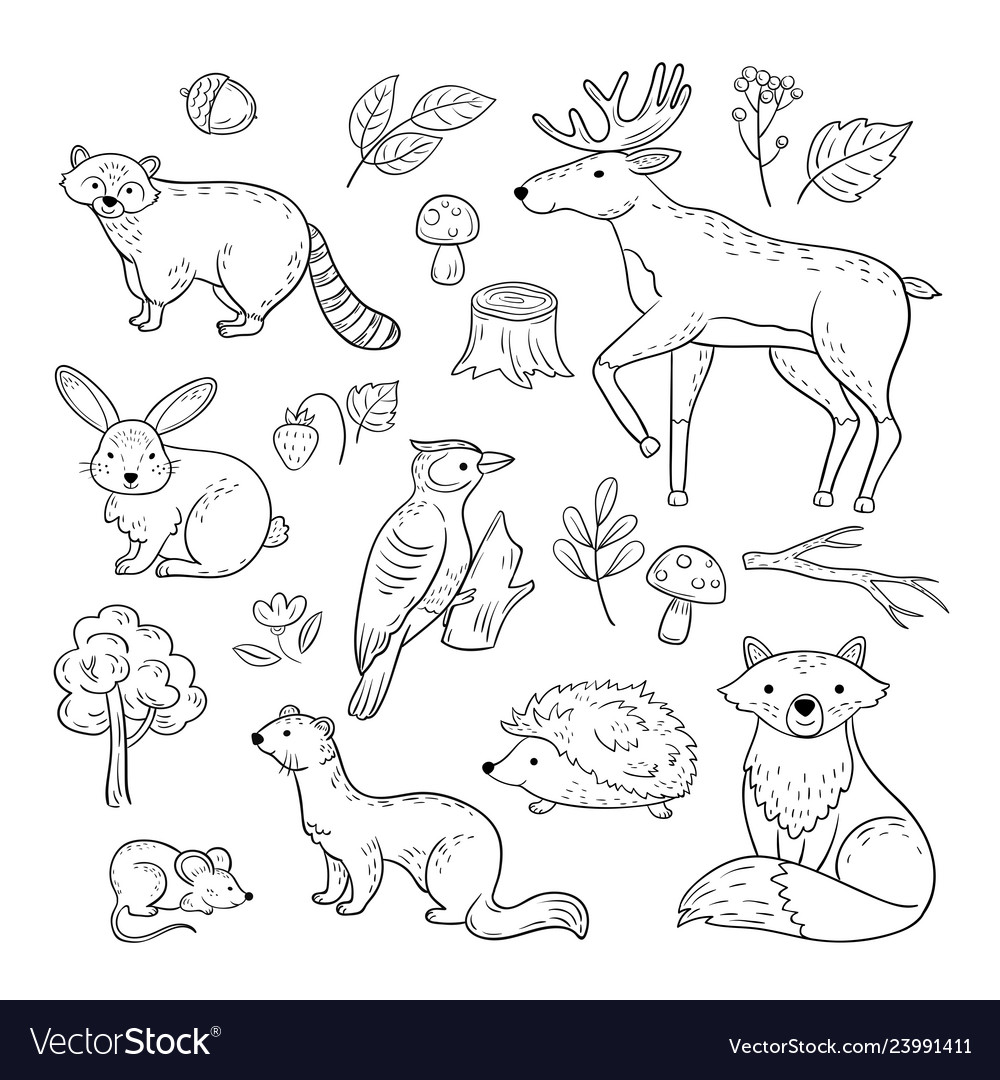 Jungle Animals Outline