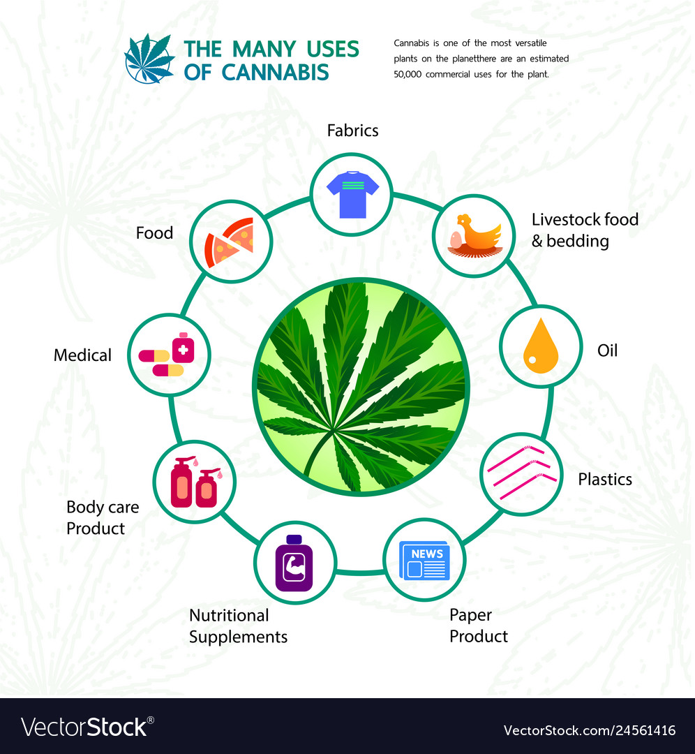 Cannabis benefits for health Royalty Free Vector Image