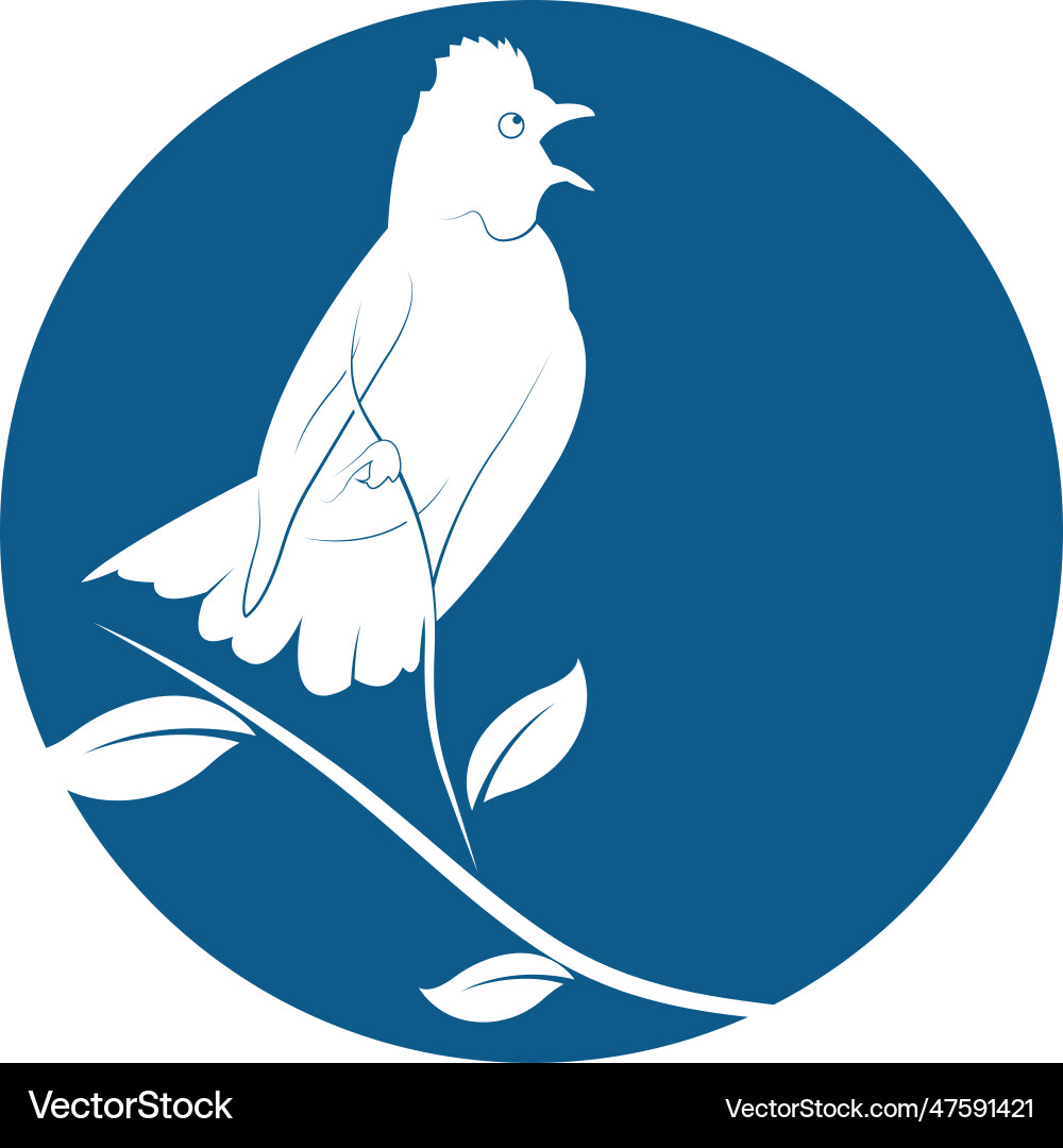 Bird logo template design Royalty Free Vector Image