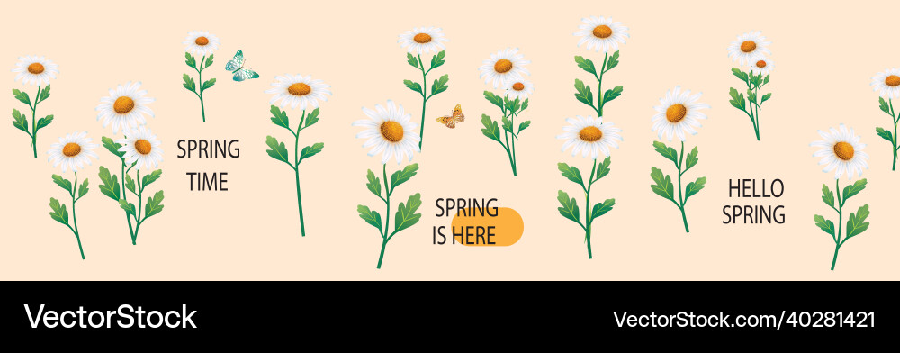 Pattern seamless white daisies daisy flower Vector Image