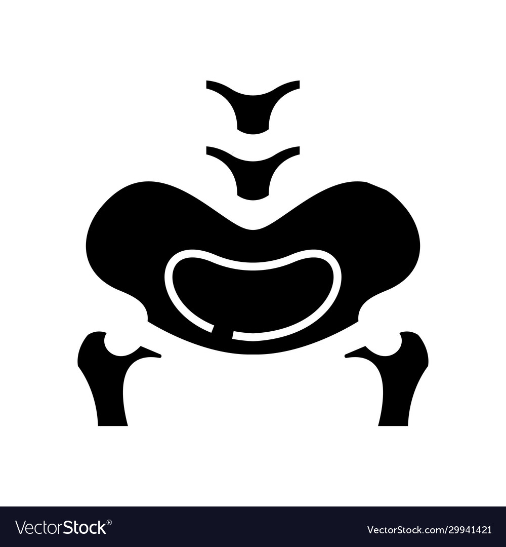 Pelvic bone structure black icon concept Vector Image