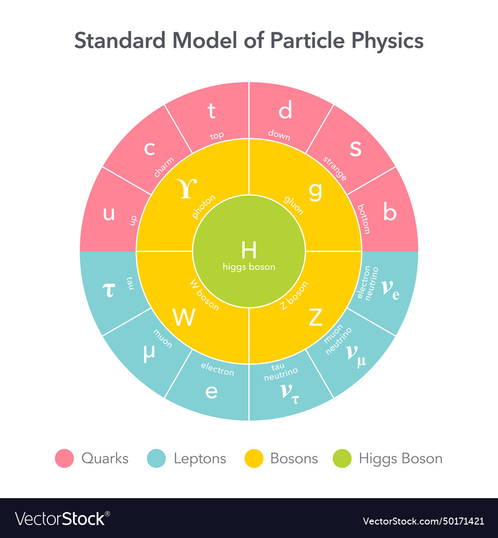 Standard model of particle physics Royalty Free Vector Image