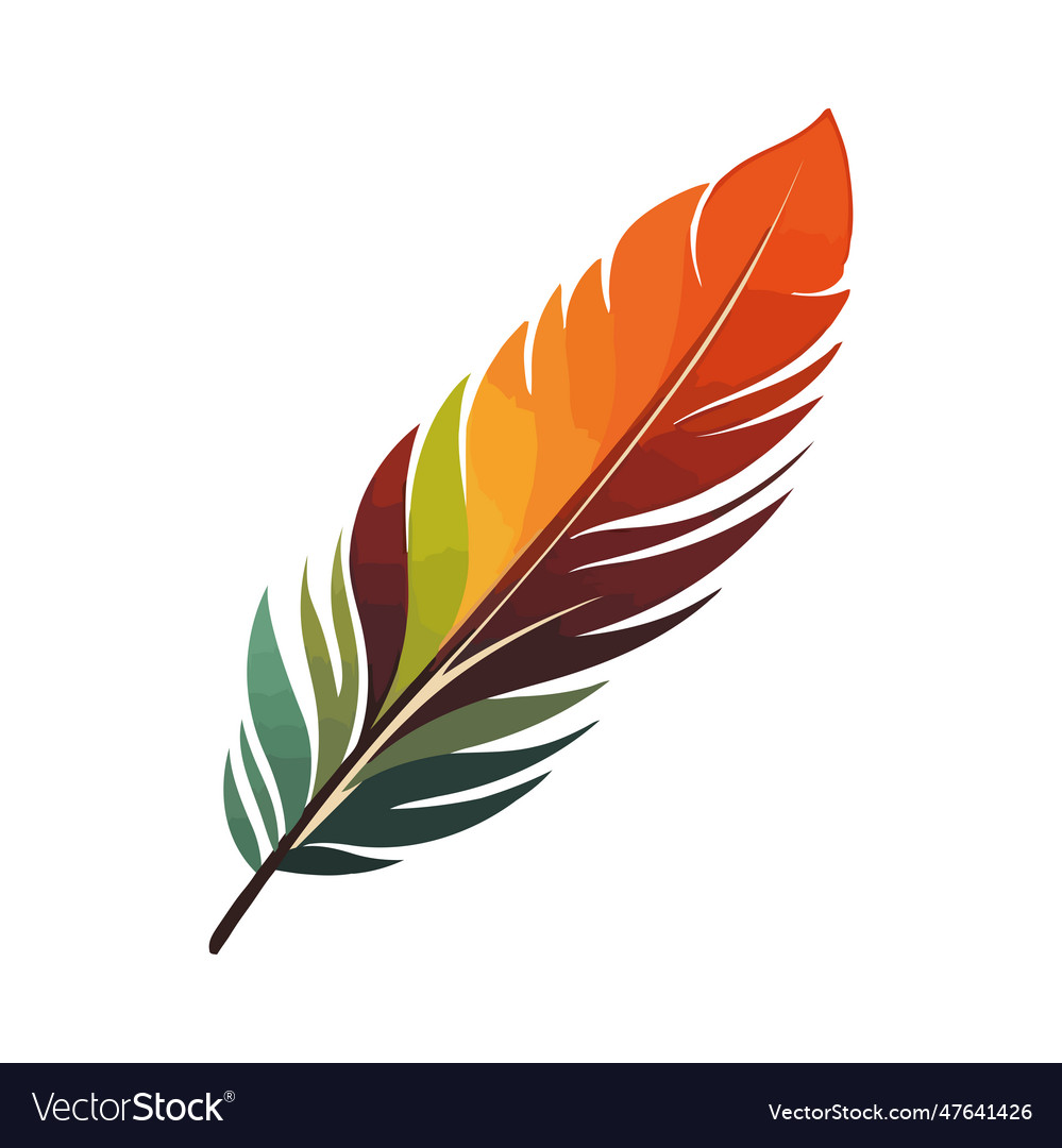 Peacock feather symbol of beauty in nature Vector Image