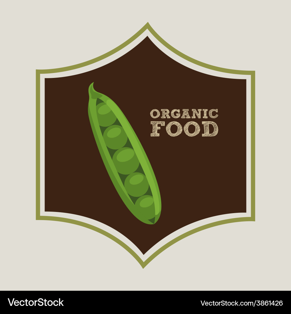 Vegan menu Royalty Free Vector Image - VectorStock
