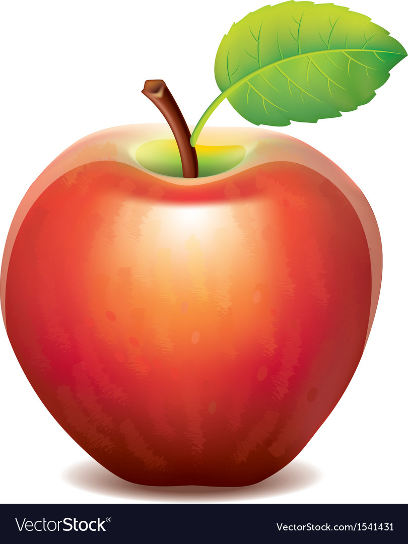 apple vector