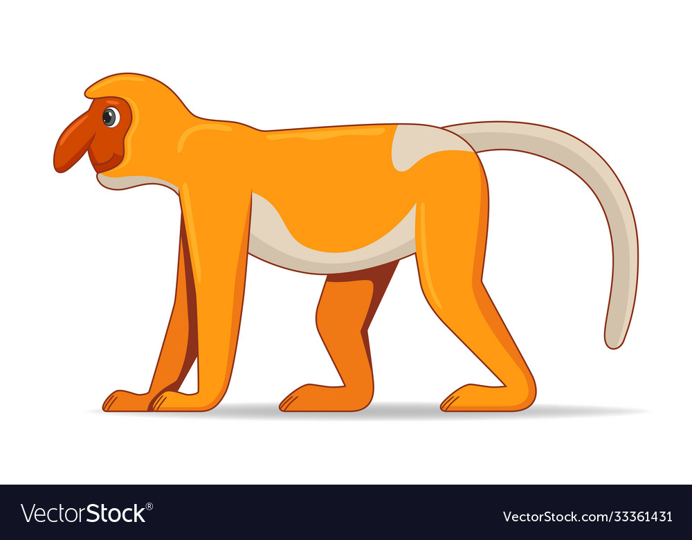 Proboscis monkey animal standing on a white Vector Image