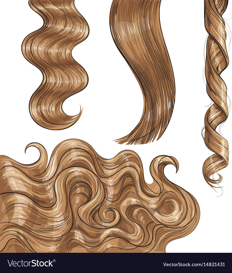 Shiny Long Blond Fair Straight And Wavy Hair Vector Image