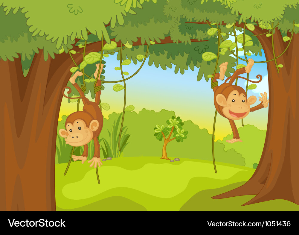Monkeys Royalty Free Vector Image - VectorStock